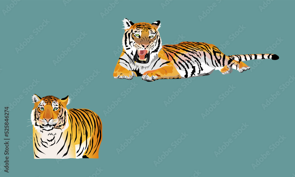 Obraz premium Tigers lying in the isolated vector