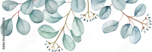 Floral eucalyptus banner. Silvery green leaves clipart isolated. Watercolor illustration for your design