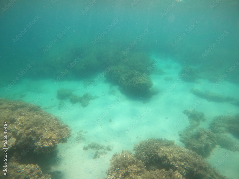 underwater world underwater world