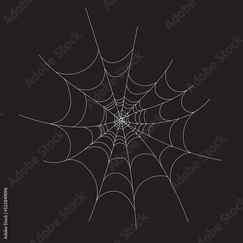 white web on a black background