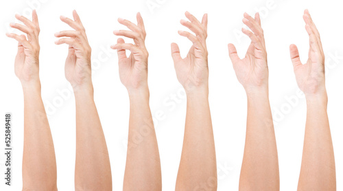 GROUP of Male asian hand gestures isolated over the white background. Touching.