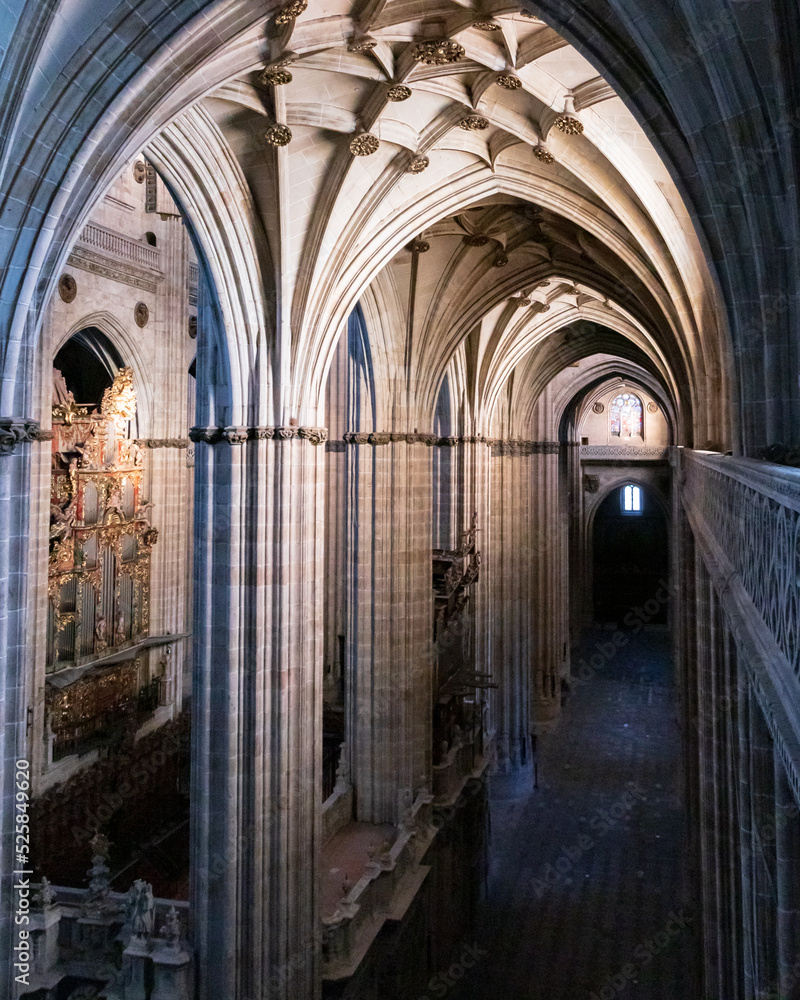 Fototapeta premium Catedral