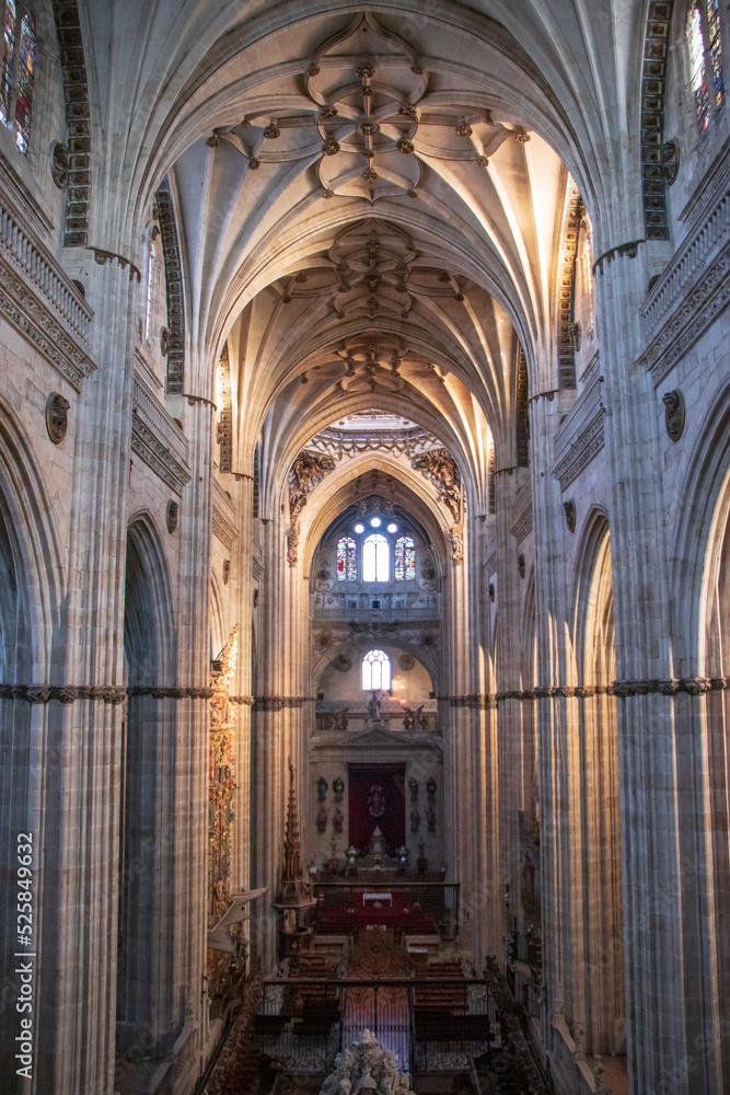 Fototapeta premium Catedral