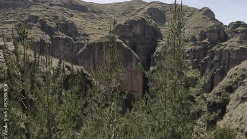 4k Aerial shot for amazon river and the rain forest in brazil rainforest. shot on MAVIC 2 PRO hasselblad rendered prores 422HQ D-log