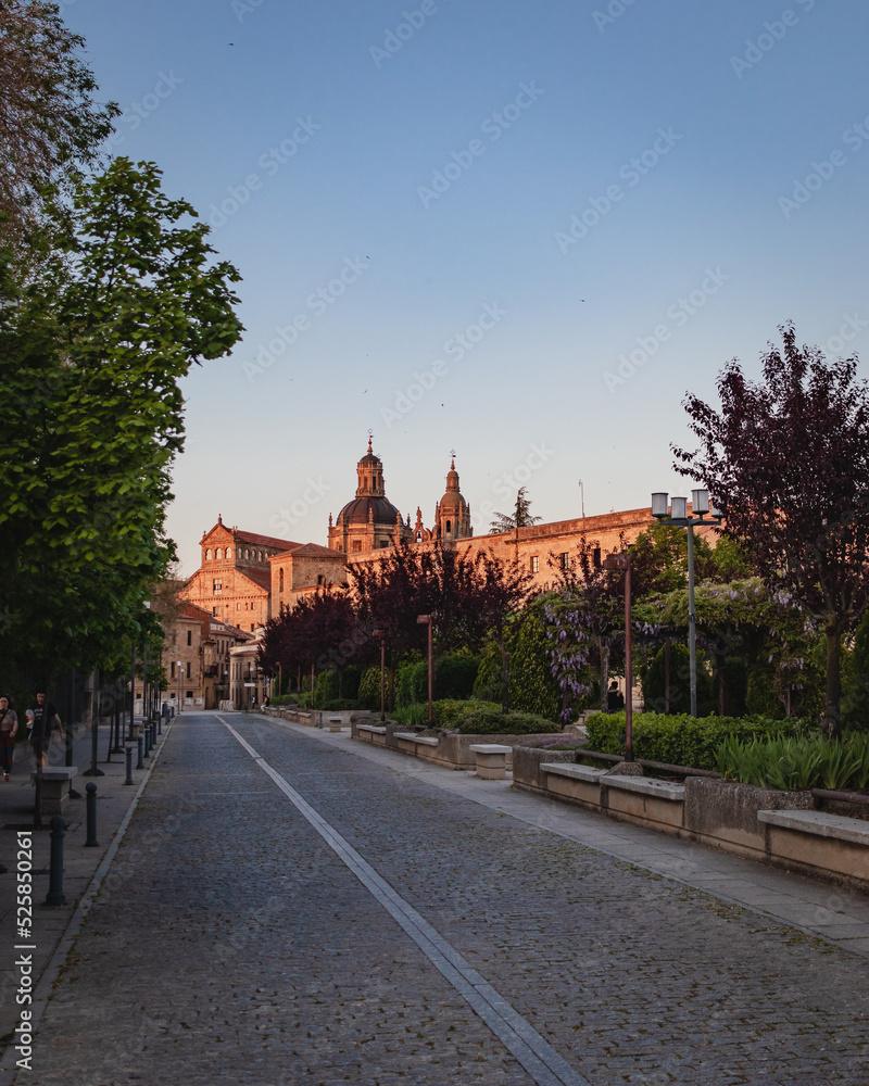 Fototapeta premium Catedral