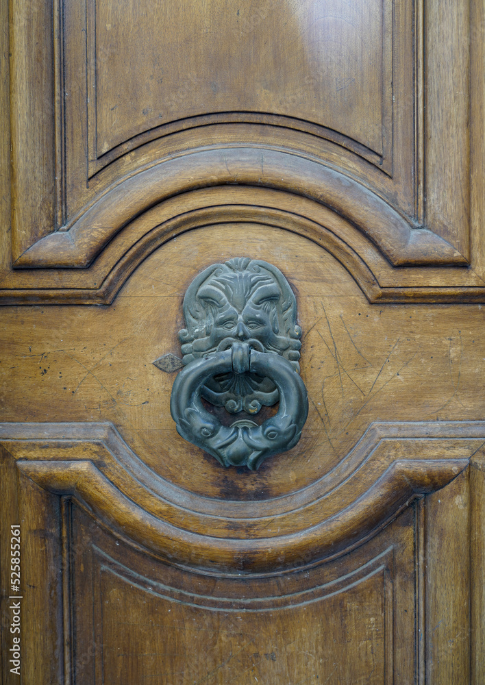 Wooden door and large ornate door knocker