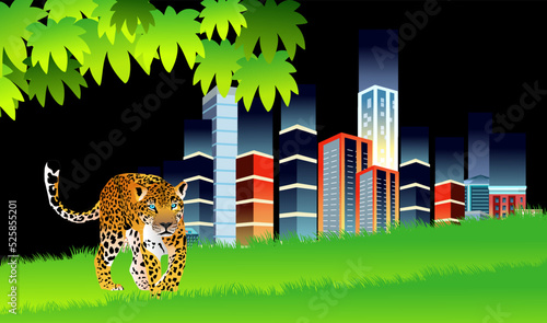 Leopard killer near night city walking lying in the green grass at night , city palm trees vector