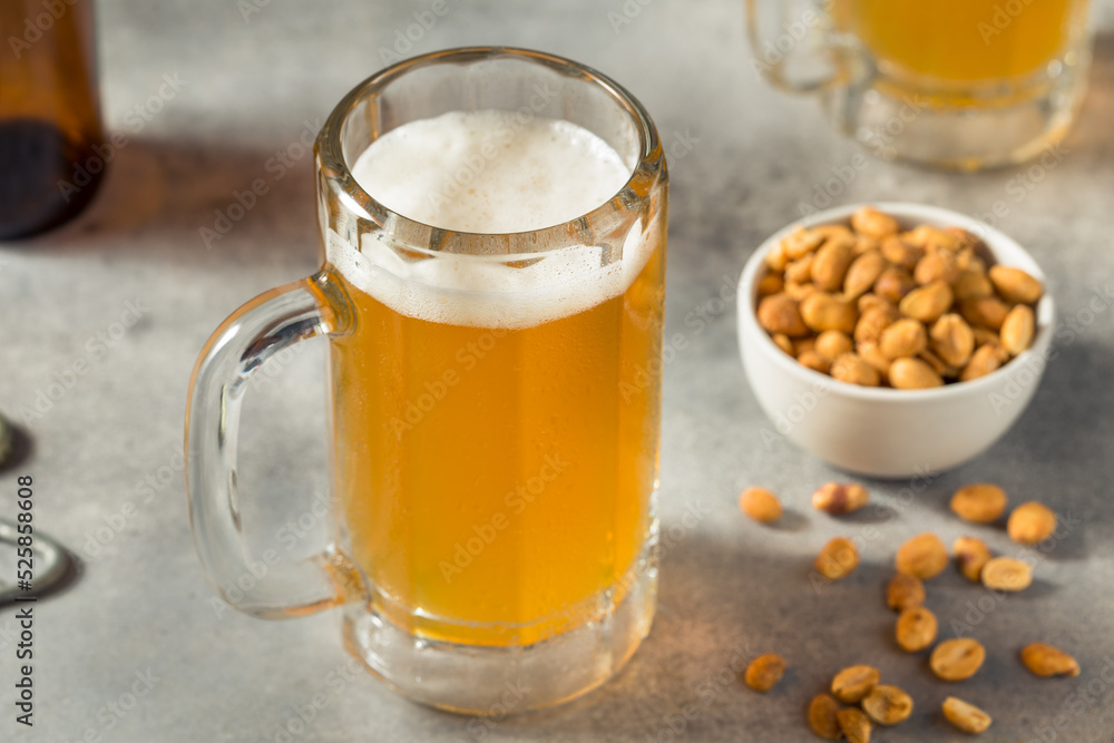 Boozy Refreshing Cold Craft Beer in a Mug Boozy Refreshing Cold Craft Beer in a Mug