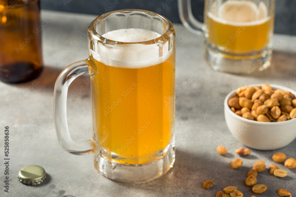 Boozy Refreshing Cold Craft Beer in a Mug Boozy Refreshing Cold Craft Beer in a Mug