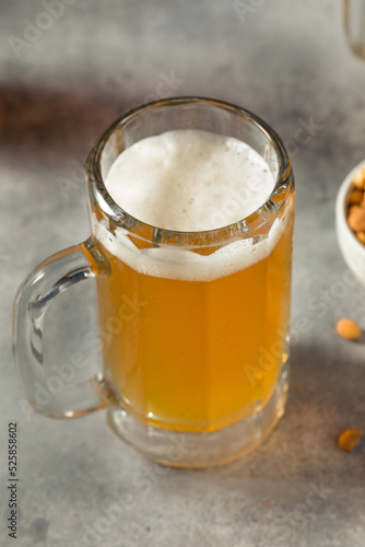 Boozy Refreshing Cold Craft Beer in a Mug