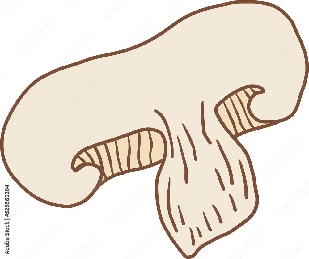 doodle freehand sketch drawing of shitake mushroom vegetable. doodle freehand sketch drawing of shitake mushroom vegetable.