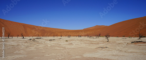 Sossusvlei Desert. Namibia 