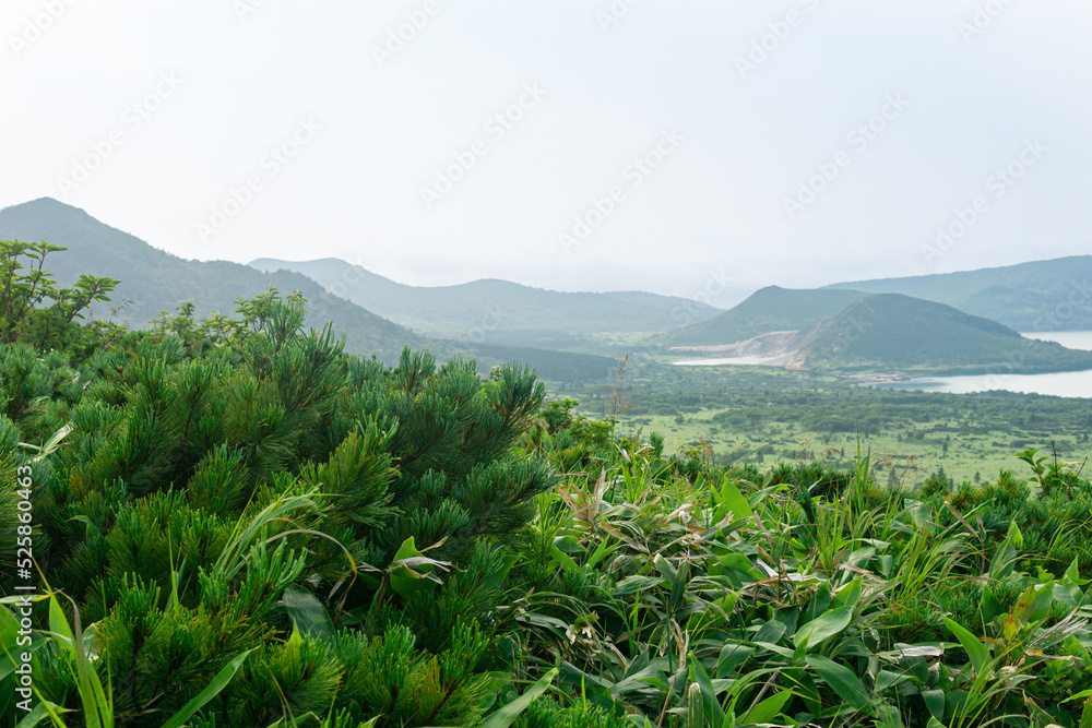 natural landscape of Kunashir island, view of the Golovnin volcano caldera with hot lake, focus on nearby plants natural landscape of Kunashir island, view of the Golovnin volcano caldera with hot lake, focus on nearby plants