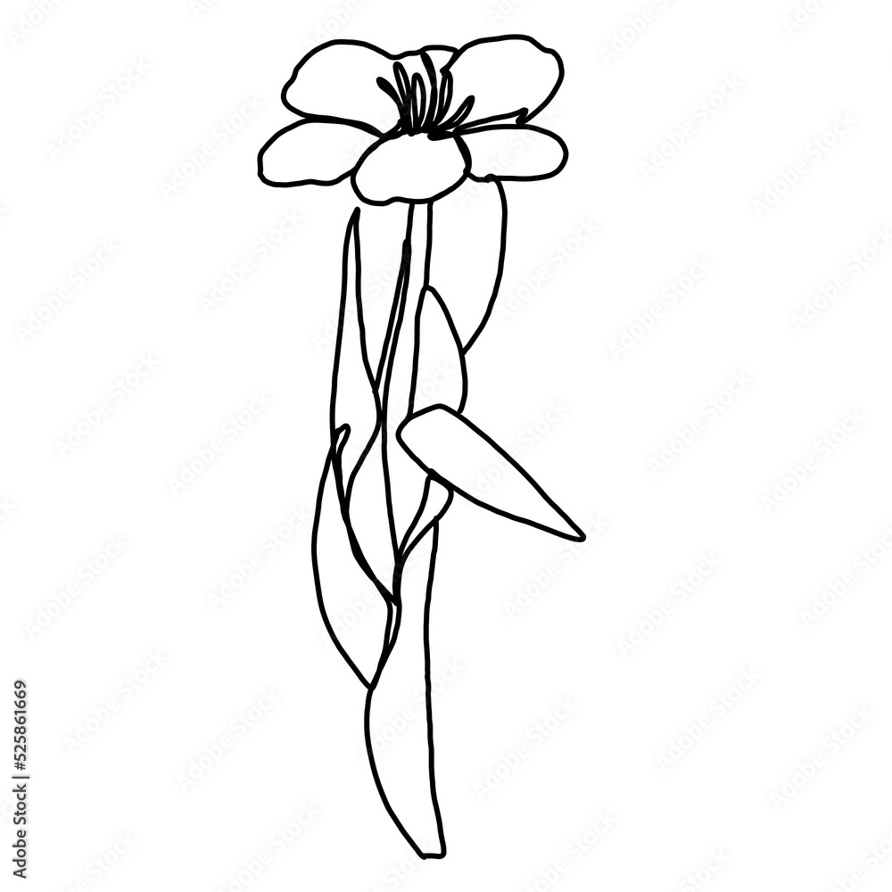 one line flower tulip doodle