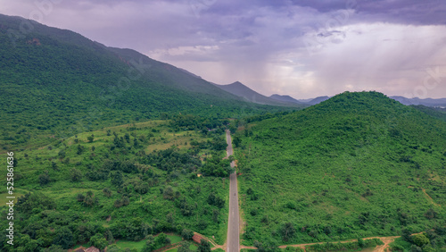 Aerial view of road going through greenery, Roads through the green forest, drone landscape photo