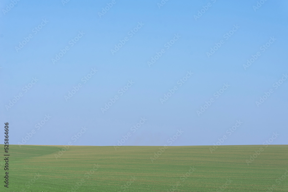 Green field with blue sky as background.