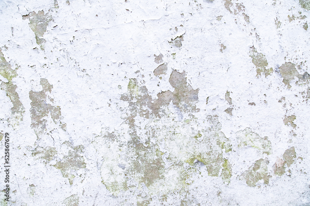 Cracked Plaster Urban Decay Texture Background