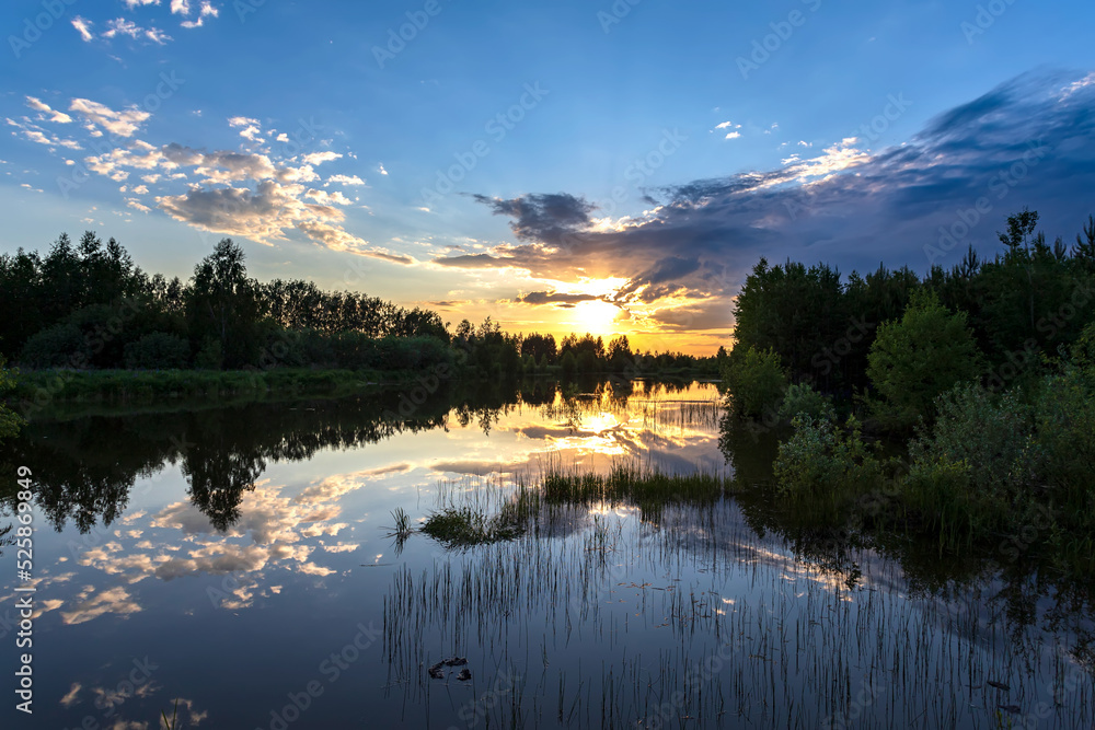 Sunset at coast of the lake. Nature landscape with grass and clouds.