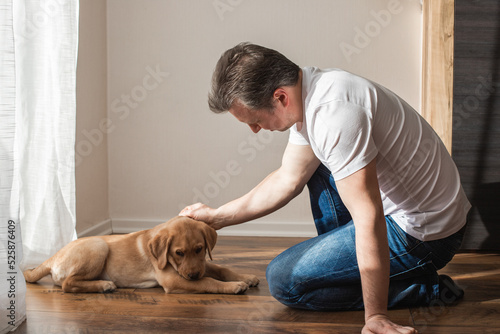 Young man playing with labrador retriever puppy at home. Games with pets. Animal friendship and care