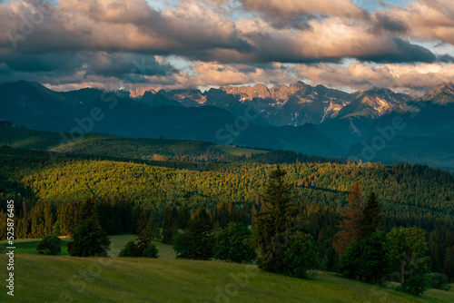 Sunset in tatra Mountains, green meadows and trees in foreground