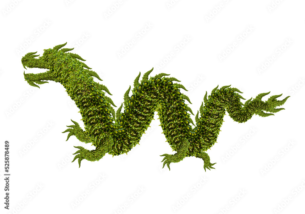 Naklejka premium Dragon tree isolated transparency background.made by bushes shape.