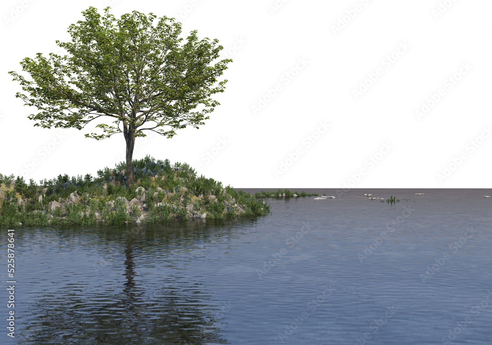 Waterfront plants on a transparent background
Waterfront plants on a transparent background