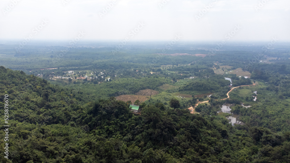 View of a forest in Laos