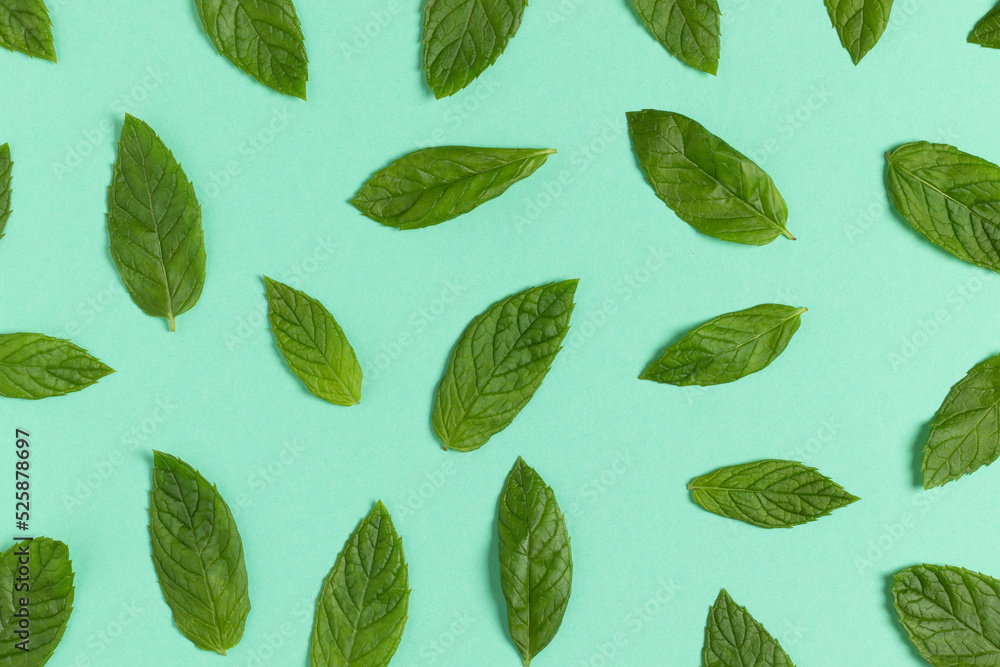 Fresh green mint leaves background. Top view. Fresh green mint leaves background. Top view.