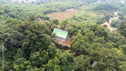 View of a forest in laos