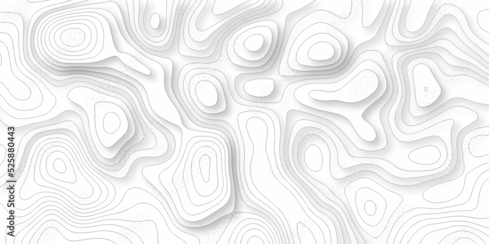 abstract vactor white lines pattern and Topographic and maunt,river,sea map background. Line topography map contour background, geographic grid. Abstract vector illustration.