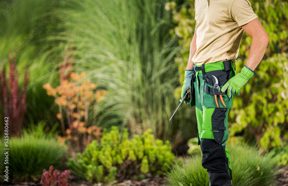 Landscaping and Gardening Worker with His Tools Staying Inside Backyard Garden Landscaping and Gardening Worker with His Tools Staying Inside Backyard Garden