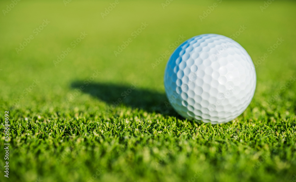 White Golf Ball on a Grassy Course Lawn White Golf Ball on a Grassy Course Lawn