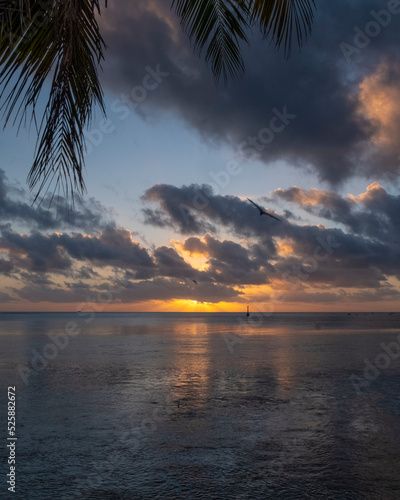 French Polynesia Moorea Tahiti Fakarava