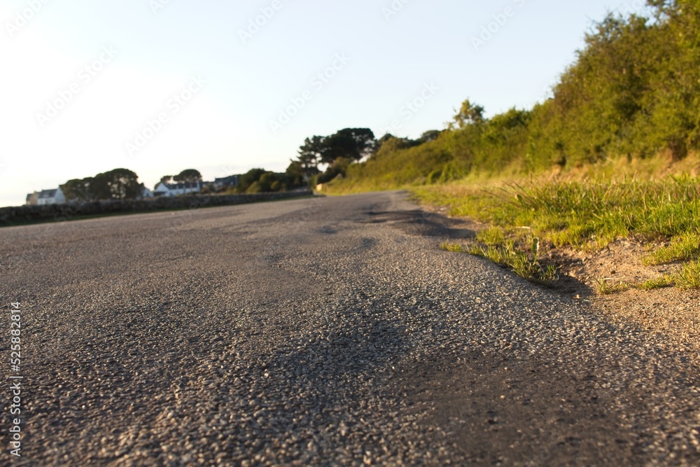 Fototapeta premium road in the countryside