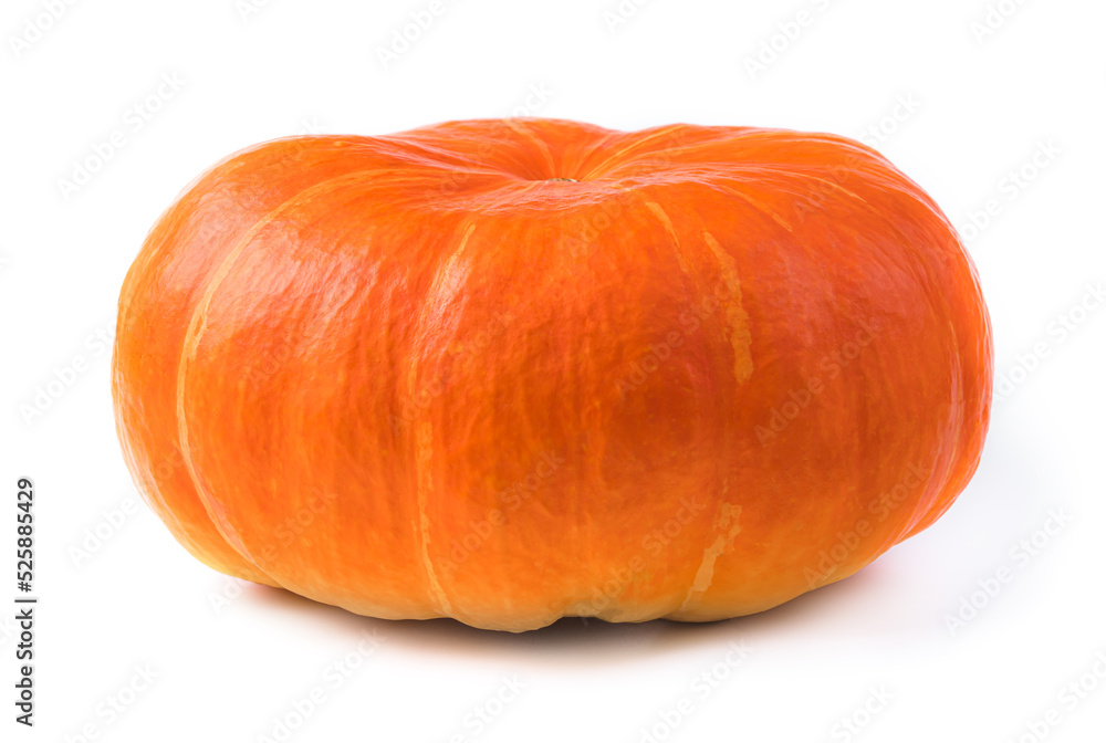 Obraz premium Ripe pumpkin isolated on a white background. Side view, close-up