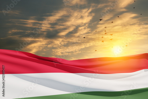 Waving flag of Hungary in sunset sky with flying birds. Independence day, National day. Background with place for your text. 3d-rendering. photo