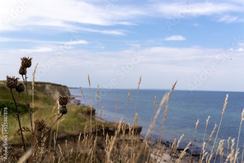 Meerblick auf die Ostsee in Heiligen Hafen
