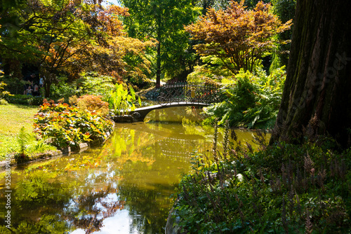 Fototapeta Naklejka Na Ścianę i Meble -  Pond in a garden with a bridge and beautiful trees
