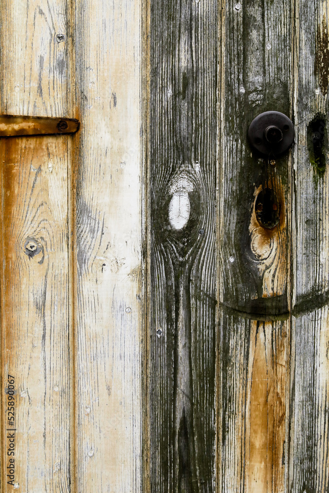 Urban Wood Grunge Texture Background
Urban Wood Grunge Texture Background