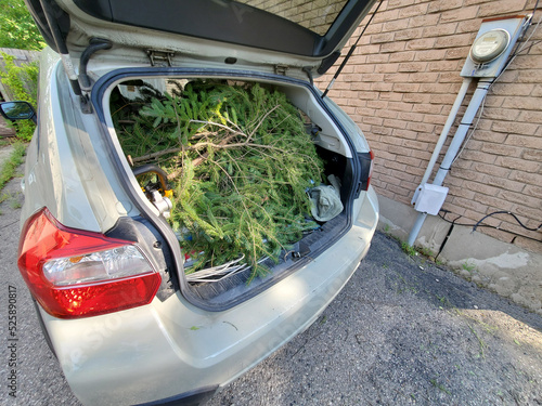 Obraz na płótnie The trunk hatchback filled with yard waste, ready to go to the dump. w salonie