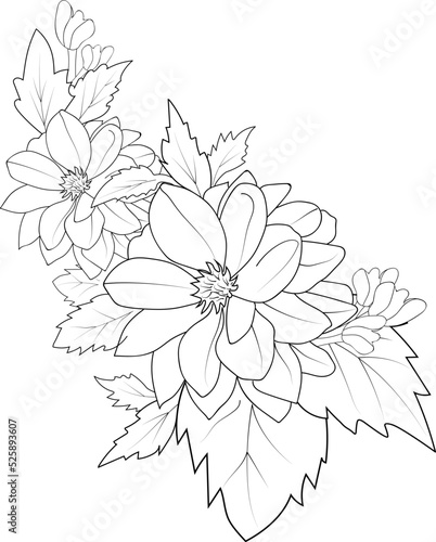 isolated   hand drawn vector illustration blossom dahlia flower botanical and branch vector illustration floral bud leaf collection  coloring page and book for adult.