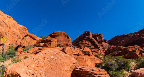 Rock Formation in The Aztec Sandstone of the Calico Hills  Red Rock Canyon NCA  Las Vegas  Nevada  USA