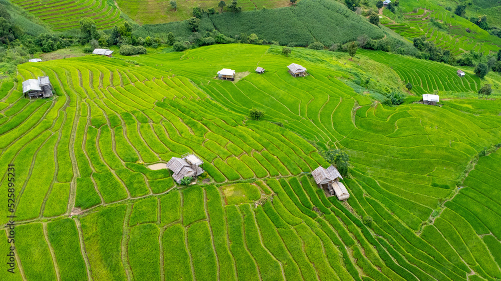 Aerial view of green wavy field in sunny day. Beautiful green area of young rice field or agricultural land in the rainy season of northern Thailand.