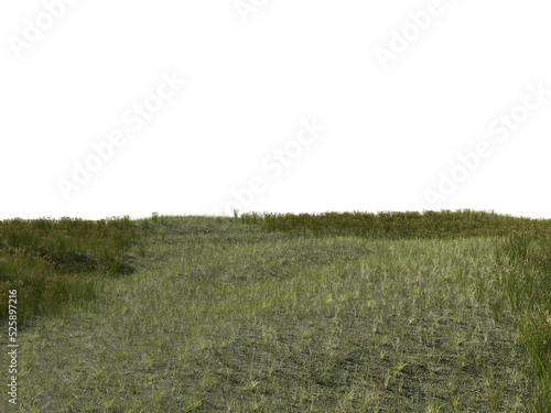 Εκτύπωση καμβά Grass Foreground Floor with Perspective, Transparent Background PNG