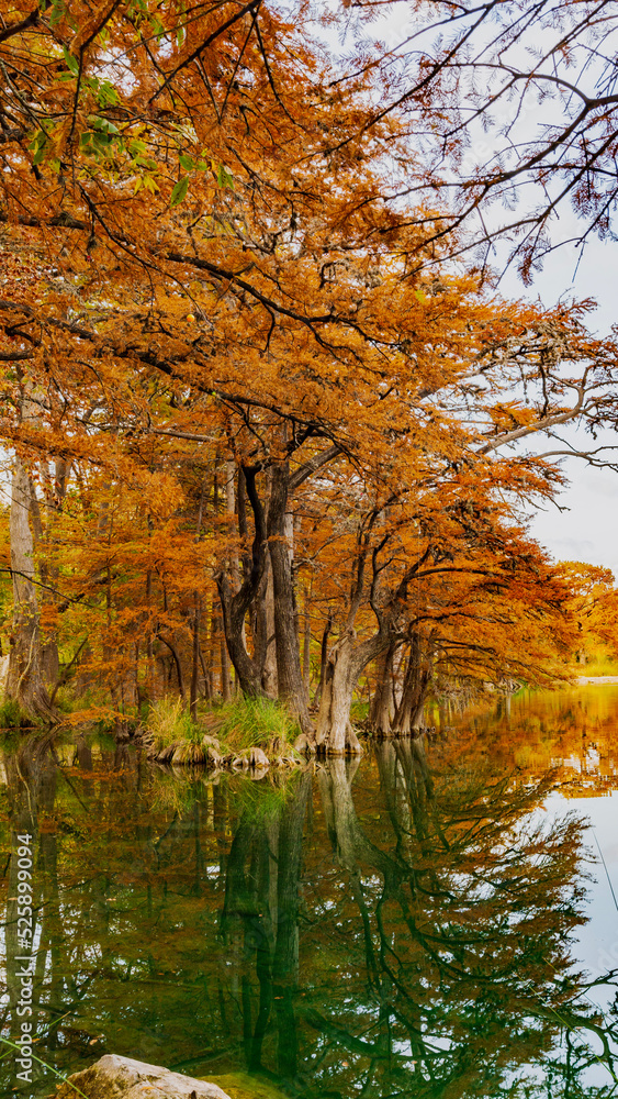 autumn in the park