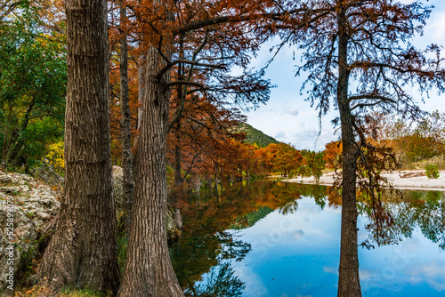 autumn in the park