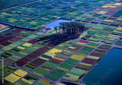Slika na platnu An aerial photo of a landscape, nursery stock, farm with colorful patterns near