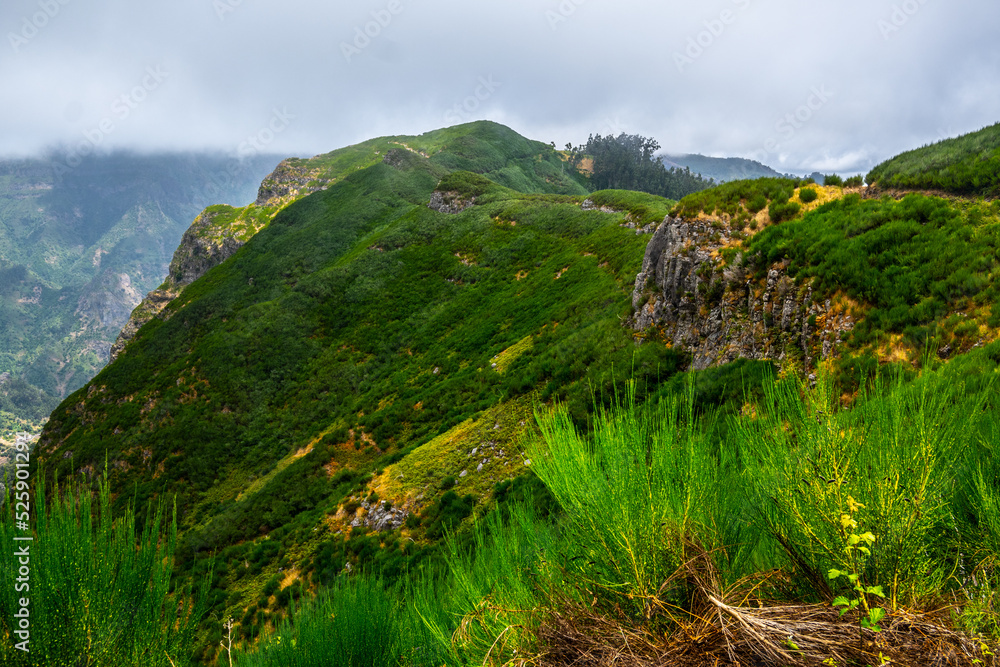 Madeira - Lombo do Mauro Madeira - Lombo do Mauro