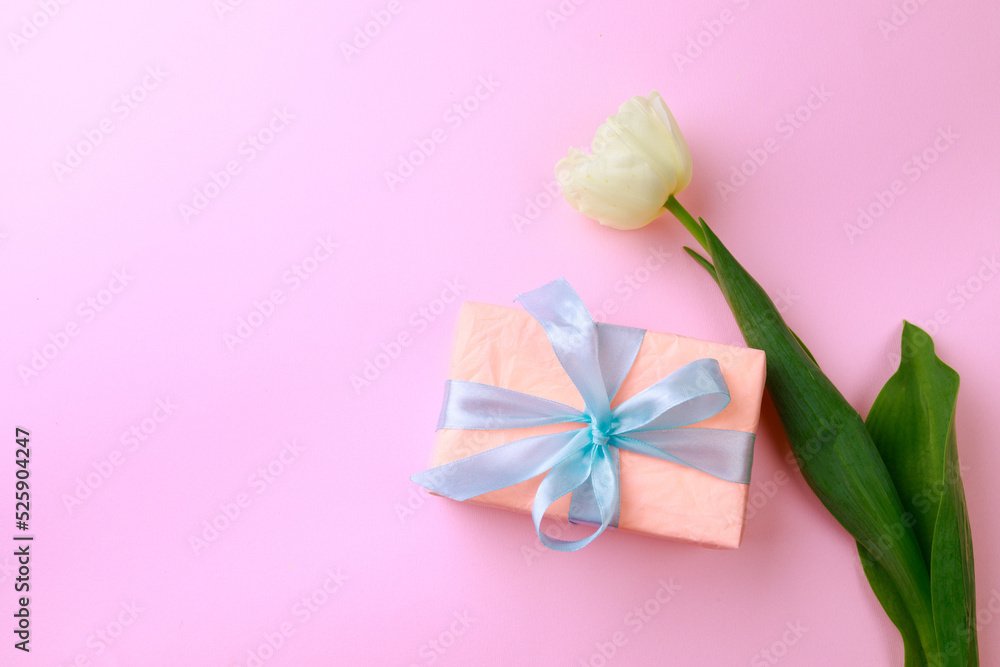 Gift box and tulip on color background. Happy womens day. Happy Mothers day.Hello Spring- Image Gift box and tulip on color background. Happy womens day. Happy Mothers day.Hello Spring- Image