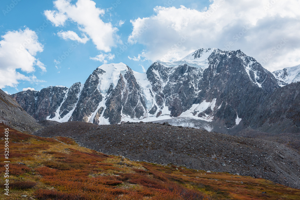 Scenic landscape with red thickets on sunlit pass against large snow mountain range in autumn sunny day. Vivid autumn colors in high mountains. Motley shrubs with view to snowy mountains in bright sun